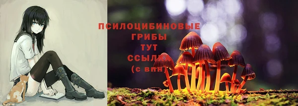 бошки Армянск