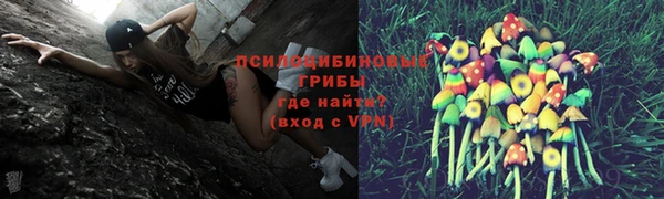 2c-b Магас