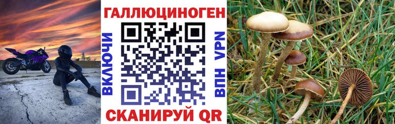 Псилоцибиновые грибы прущие грибы Курган